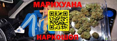 шишки Донской