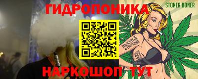 шишки Донской