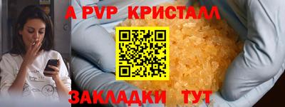 шишки Донской