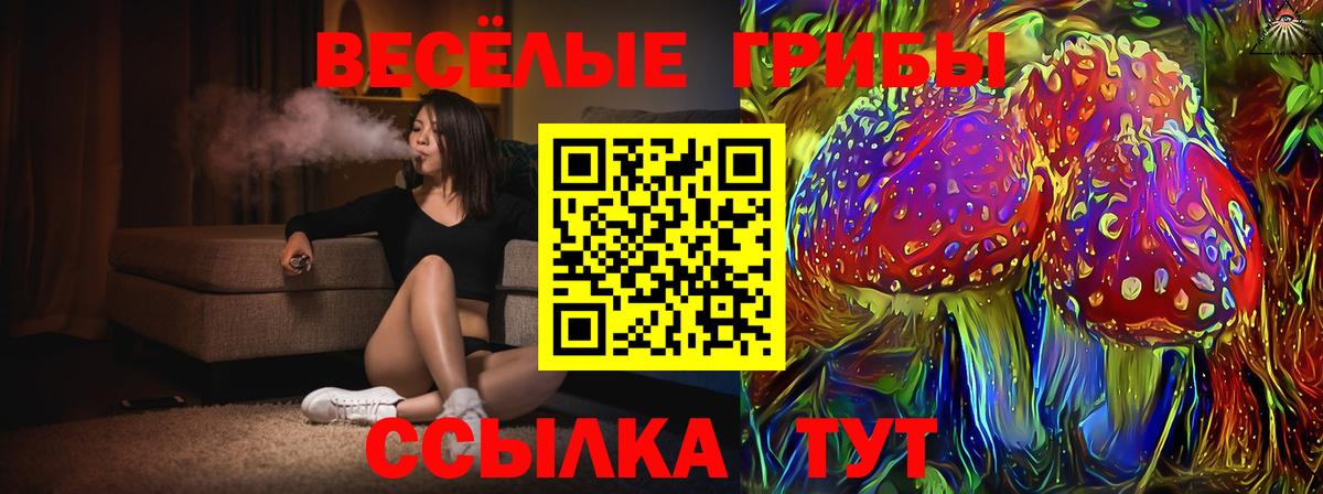 Кыштым  Галлюциногенные грибы Magic Shrooms  Вход с VPN  Галлюциногенные грибы GOLDEN TEACHER 
